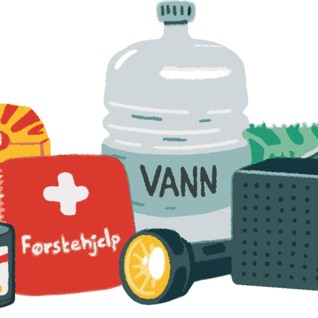 Illustration. Example of emergency storage. We see a gas burner, canned food and dry goods, birth aid box, light, water, radio and fuel.